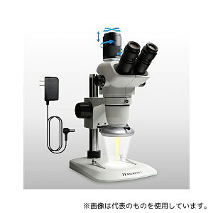 }CNlbg YS05T-W-EPLUS yOzY[̌ LT + LEDOƖ(ƓxEƖt)