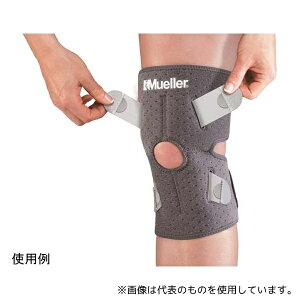 MUELLER 5317 ЂpT|[^[