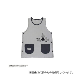 ZgfBX ST-IM0063 [~ Gv(J^Cv) O[