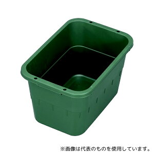 �V�P���� �g���{�p�^�^�u 24�^ �Ђ��t(�O���[��)