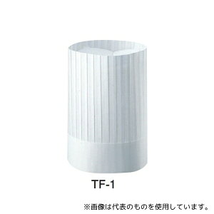 AY TF-1 gbNuVlI(10)H300mm