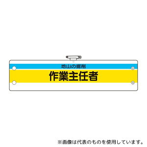 AY 366-22A ƎCҘr nŘ@ƎC