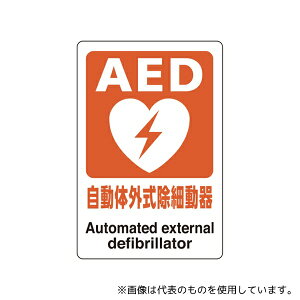 AY 831-01A AED XebJ[ ̊Oד