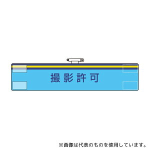 AY 847-59A rj[ ʎƏpr Be