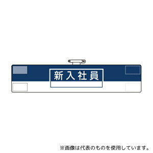 AY 847-73A rj[ ʎƏpr VЈ