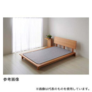 w ECO-DRYS-098S 􂦂鏜V[g VO 98×195cm