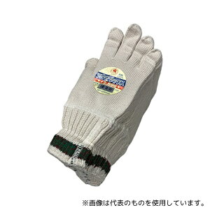 xm܍H 2800-CF VDXȃJtXR 12{ 1(12o)