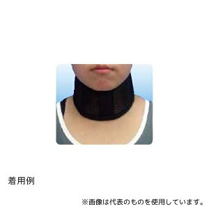 AVXg 16731 lbNK[hEbV ubN M