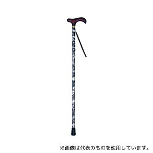 쏊 55-F2 ܂肽݃RpNgXebLF ԕBK