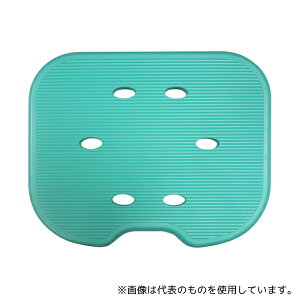 쏊 2513 ܂肽݃V[`FA[ yDXp ʃpbg CgO[