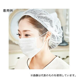 CML P060204 ĝăwA[Lbv(sDzzCg)