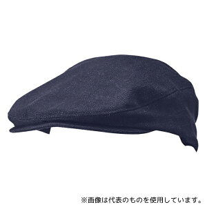 KAZEN APK485-98 n`O CfBSu[ t[