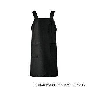 KAZEN KZN498-15 ăGv ubN L