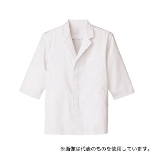 T[H(TybNXCXg) FA313 ݂/ jp zCg M