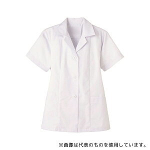 T[H(TybNXCXg) FA337 ݂/ p zCg S