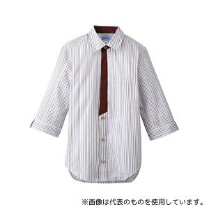 T[H(TybNXCXg) BT3121  Vc GW S