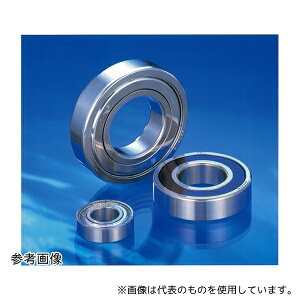 ���{���H SS6001ZZ-T ���{���H(NSK) �X�e�����X����