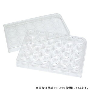 SPL Life Sciences 30024 SPL ZJ`[v[g 24EF / Surface Treatment+(ʕ)50