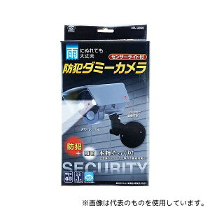 X}CLbY ZT[Cgthƃ_~[J