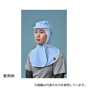  SD5000 ThHYL(cot)u[ S 1(10)