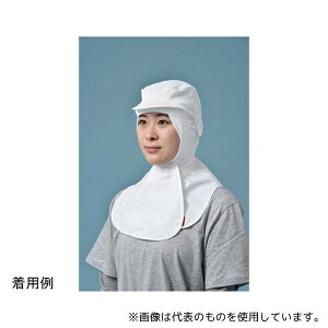  SD500S ThHYLPRO(cot)zCg t[ 1(10)