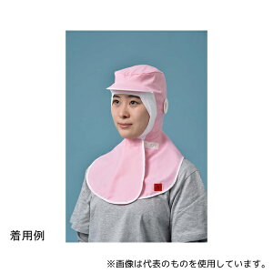  SD530S ThHYLPRO(cot)sN t[ 1(10)