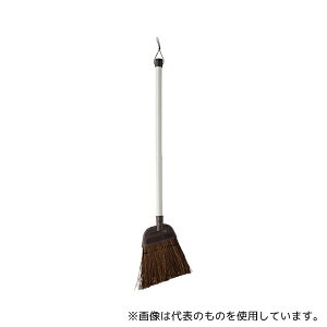 RY(Rh) Daily Clean (V_)S 2