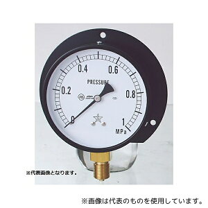 �E�����퐻�� BVT3/8-100X0.1MPA ��ʈ��͌v(�ϐU�p)(G421-211-V) 0�`0.1MPa