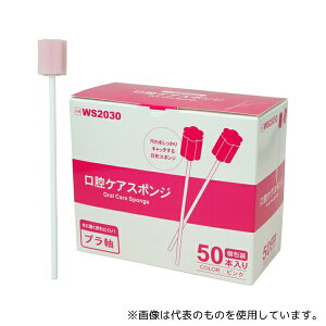 쏤 WS2030 oPAX|W sN Ԍ^ 150{