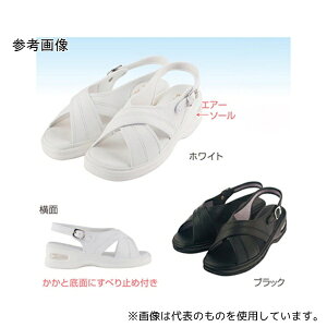 t@[XgCg FR-428 GA[NXT_ S zCg