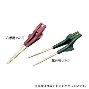 ECh S2-8 (H)  Ep