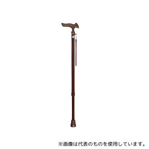 tWz[ WB3745 邪 I LkSEMp ؖڃ~fBA