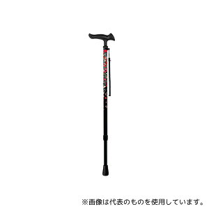 tWz[ WB5213 邪t@II(Lk) u[P