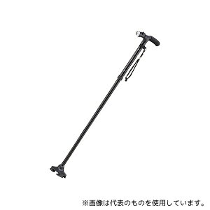 } 2029-065 LEDCgt 4_