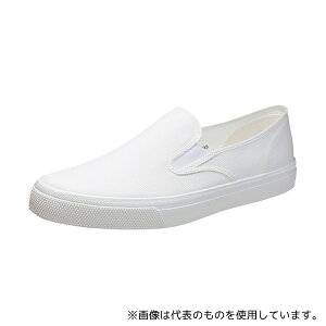 ATqV[Y fbLV[Y ATq501 zCg 24.5cm