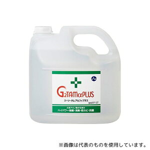 GAEH[^[}bn GAP4P-N G2TAMvX(ہEL) lߑւp 4L