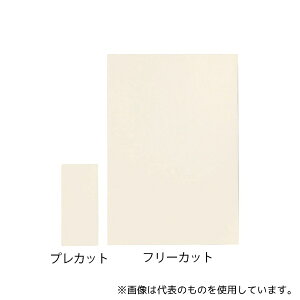 アルケア 20781 フェルト絆? プレカットシート 20枚入