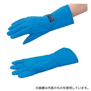 ACVX TS-MAS ቷ(h~bhA[^Cv) STCY