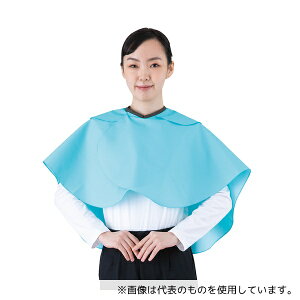 AY Jan-00 fIhgP[v u[