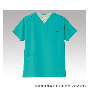 PANTONE(tH[N) 7000SC L XNu (jp/EzbN) O[/L
