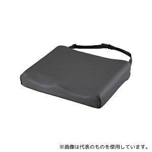 AY WM464107-CP V[gNbV(Pumel)