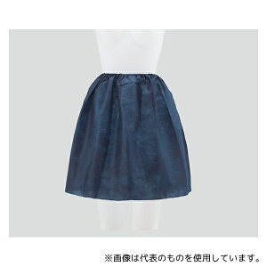 AY KDS-01 fpfBX|XJ[g t[ 1(50)