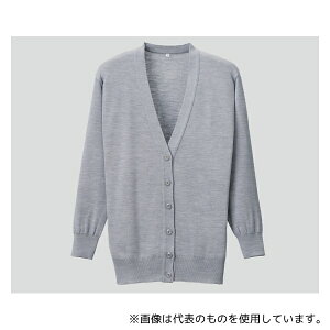 fB[tFCY D-1002 RsOJ[fBK ۃO[ S