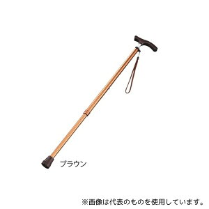 AY B060-608D-BR Lk(XlbN^Cv) uE(jp)