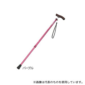 AY B059-608SD-D004-3 Lk(XlbN^Cv) p[v(p)