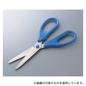 BLH OR-165 ͂ (Se[vp)