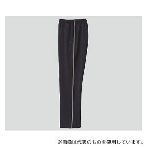 fB[tFCY C-21 W[Wpc(jp) lCr[ SS