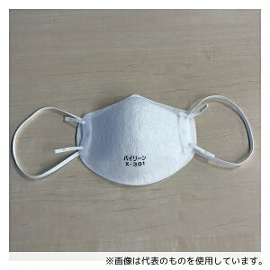 {oC[ X-301 ȈՃ}XN 1(20)