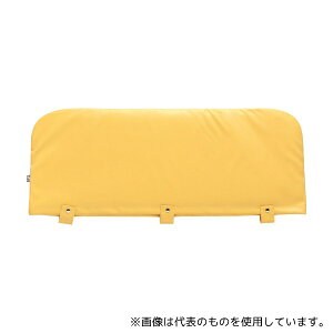 ߗ 100 TCh[NbVJo[ Ж L CG[