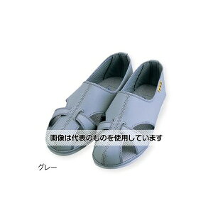 AYsAiAYj AYsAx^V[Y(O[ 27.0cm) F1